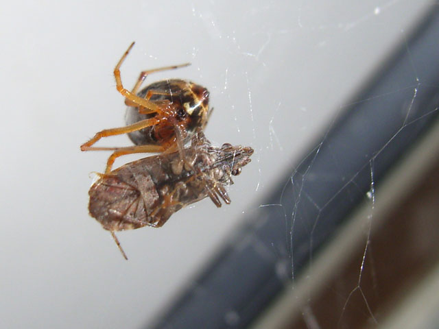 R0011776b