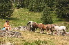 Andorre 2004
