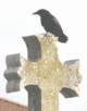 Canard mandarin