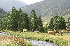 Andorre, 2004