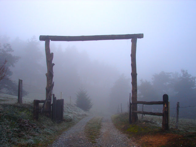 DSC07585b