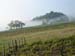 DSC01978b